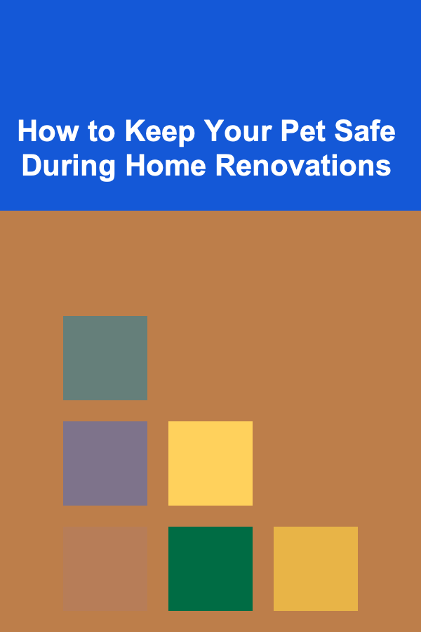 How to Keep Your Pet Safe During Home Renovations
