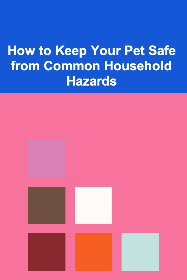 How to Keep Your Pet Safe from Common Household Hazards