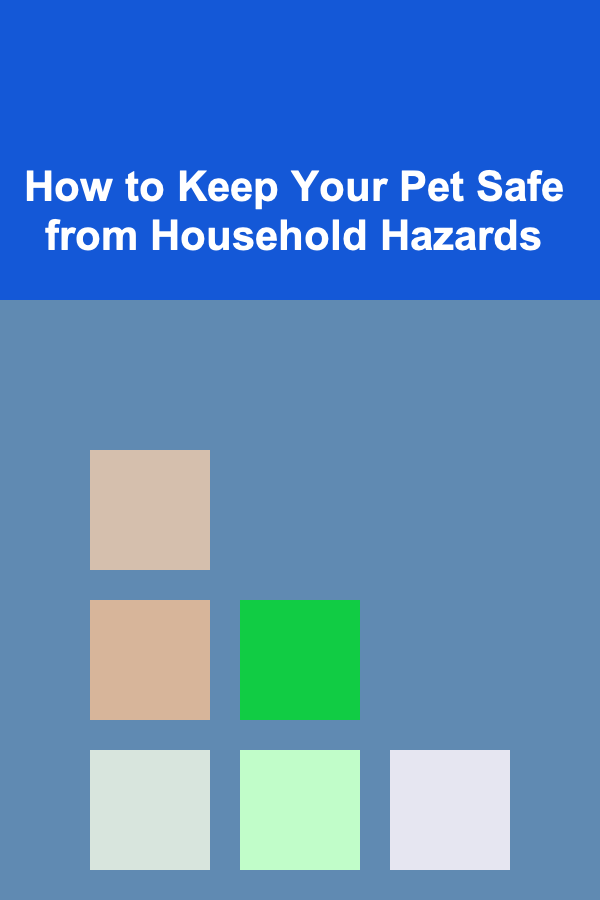 How to Keep Your Pet Safe from Household Hazards