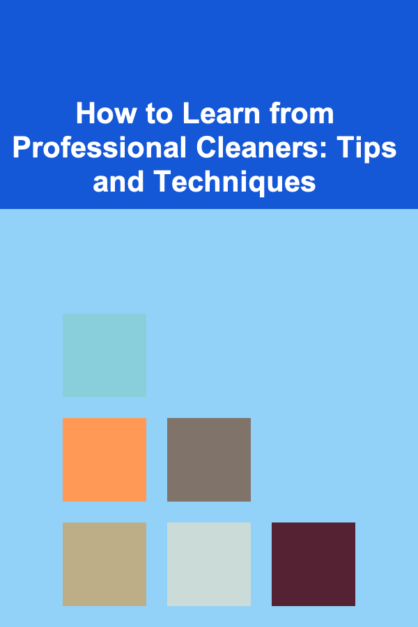 How to Learn from Professional Cleaners: Tips and Techniques