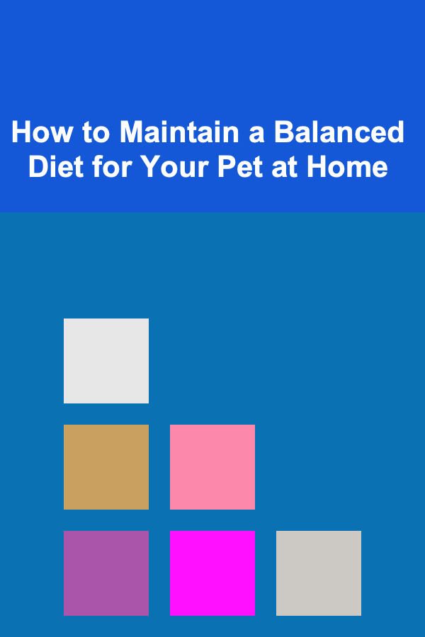 How to Maintain a Balanced Diet for Your Pet at Home