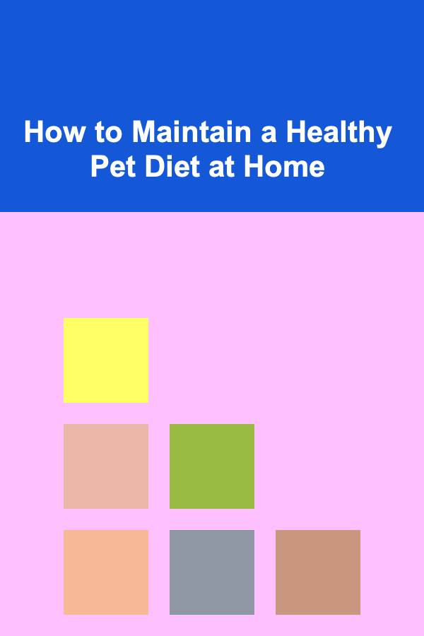 How to Maintain a Healthy Pet Diet at Home
