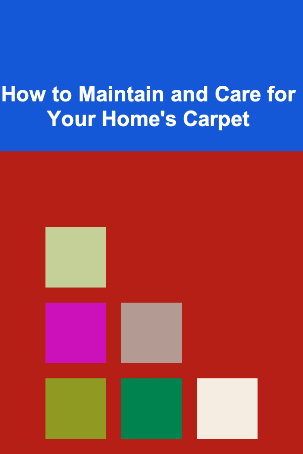 How to Maintain and Care for Your Home's Carpet