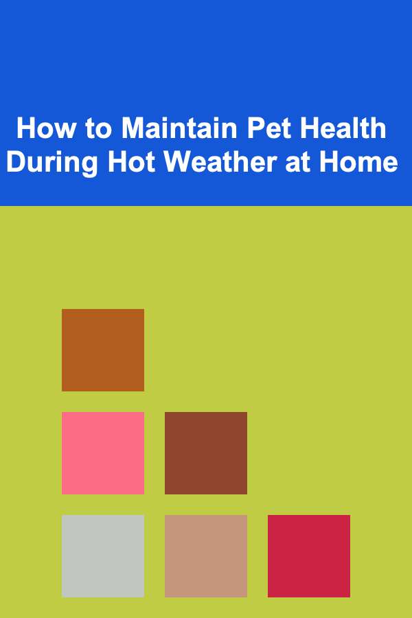 How to Maintain Pet Health During Hot Weather at Home