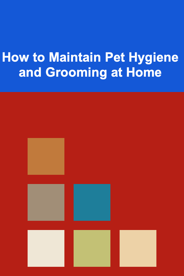 How to Maintain Pet Hygiene and Grooming at Home