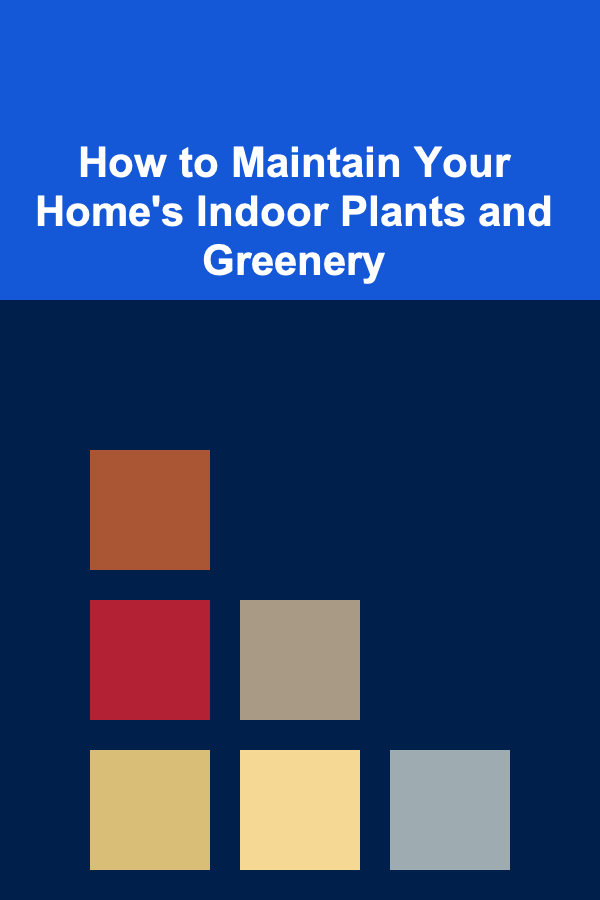 How to Maintain Your Home's Indoor Plants and Greenery