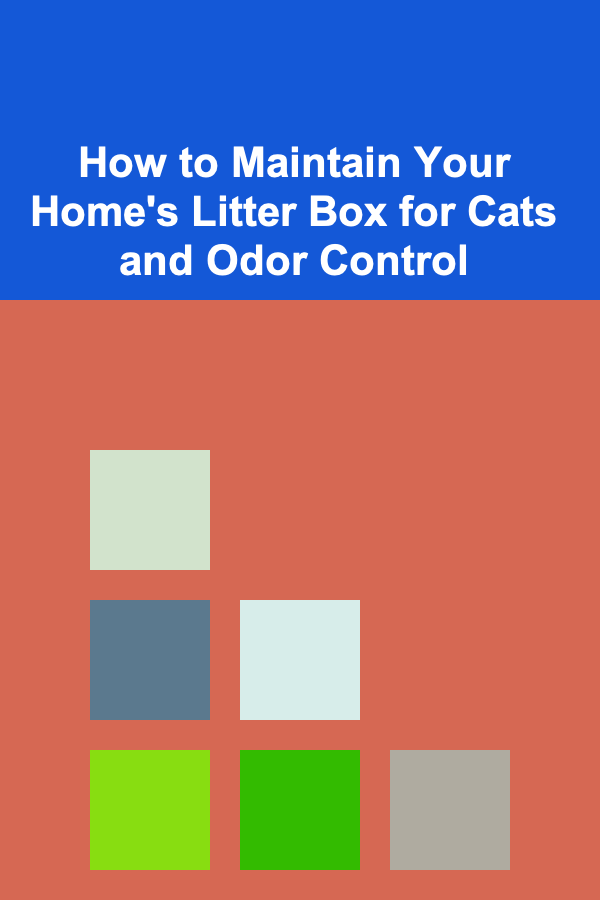 How to Maintain Your Home's Litter Box for Cats and Odor Control