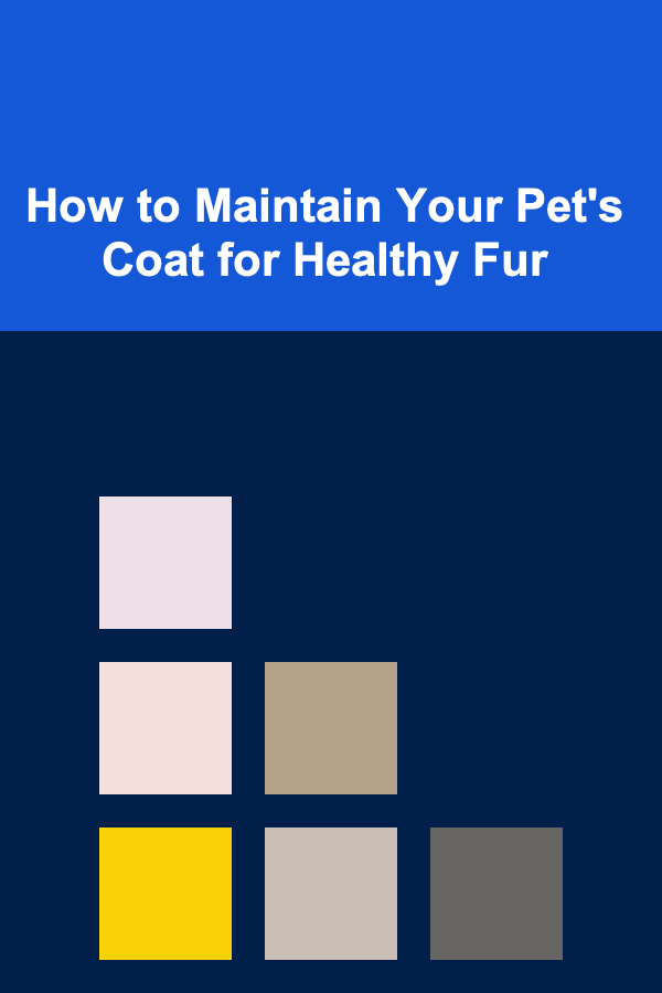 How to Maintain Your Pet's Coat for Healthy Fur