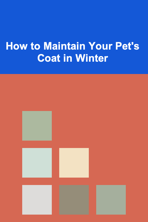 How to Maintain Your Pet's Coat in Winter