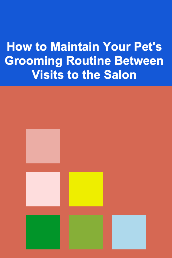 How to Maintain Your Pet's Grooming Routine Between Visits to the Salon