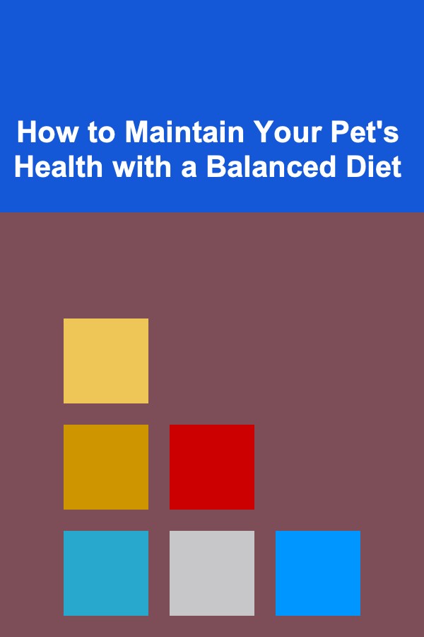 How to Maintain Your Pet's Health with a Balanced Diet
