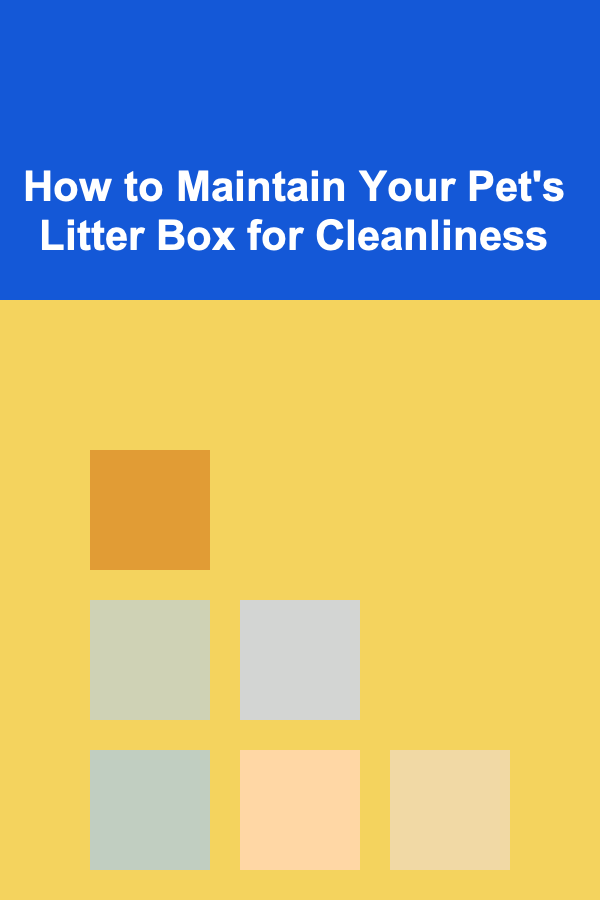 How to Maintain Your Pet's Litter Box for Cleanliness