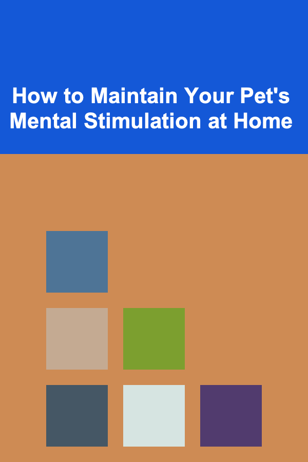 How to Maintain Your Pet's Mental Stimulation at Home