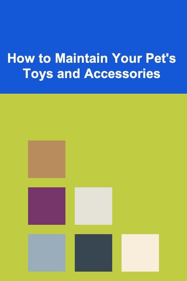 How to Maintain Your Pet's Toys and Accessories