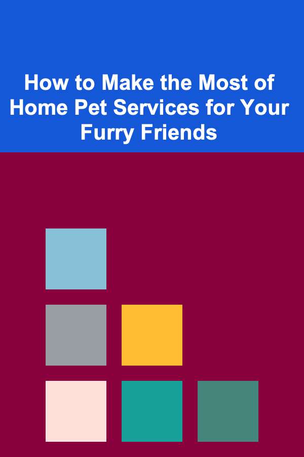 How to Make the Most of Home Pet Services for Your Furry Friends