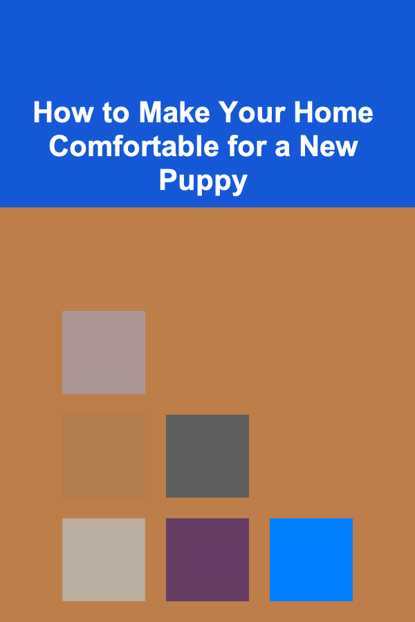 How to Make Your Home Comfortable for a New Puppy