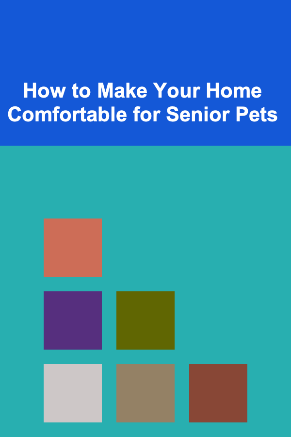 How to Make Your Home Comfortable for Senior Pets
