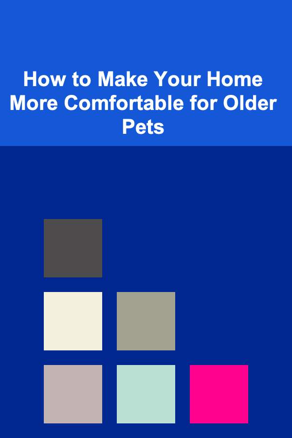 How to Make Your Home More Comfortable for Older Pets