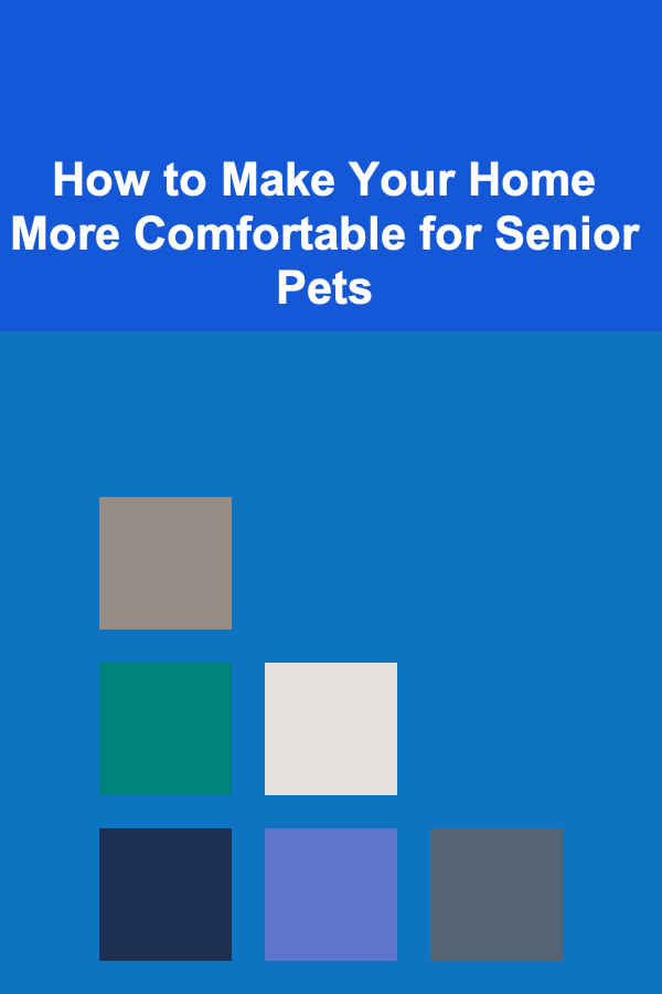 How to Make Your Home More Comfortable for Senior Pets