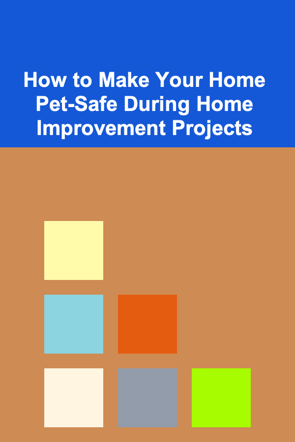 How to Make Your Home Pet-Safe During Home Improvement Projects