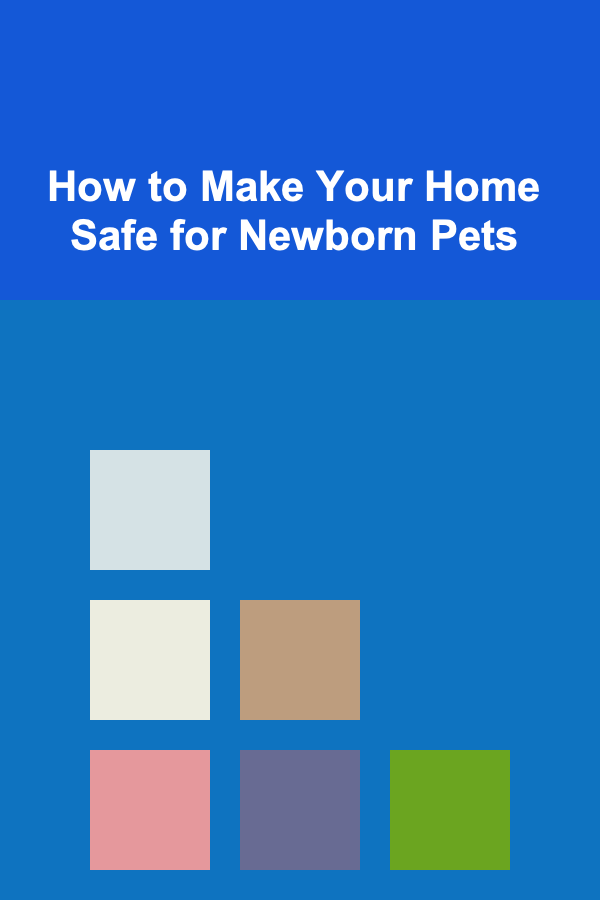 How to Make Your Home Safe for Newborn Pets