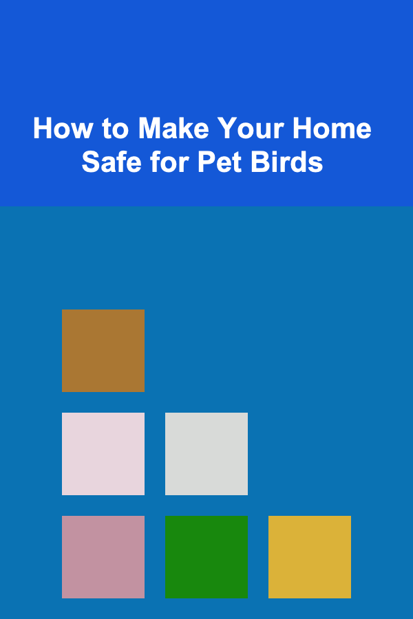 How to Make Your Home Safe for Pet Birds