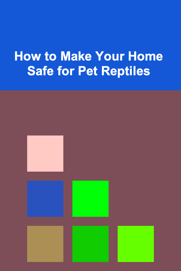 How to Make Your Home Safe for Pet Reptiles