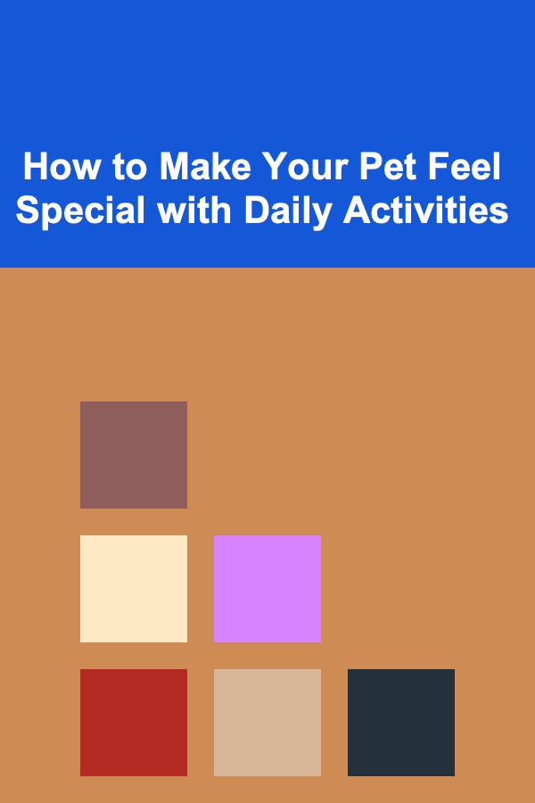 How to Make Your Pet Feel Special with Daily Activities