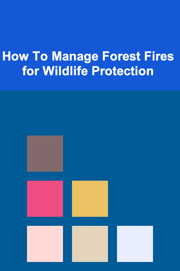 How To Manage Forest Fires for Wildlife Protection