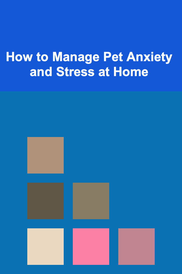 How to Manage Pet Anxiety and Stress at Home