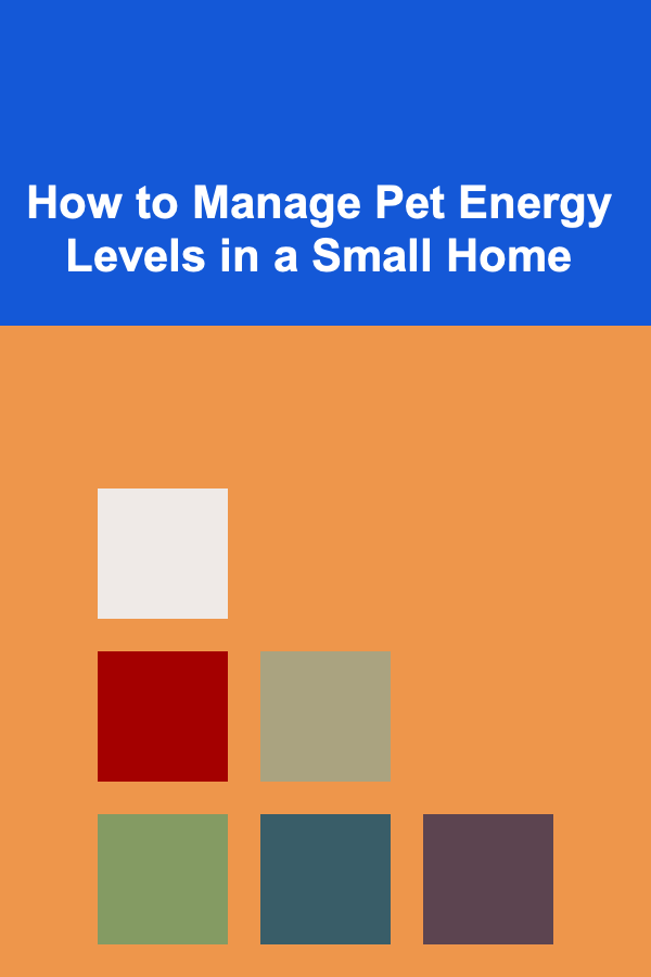 How to Manage Pet Energy Levels in a Small Home
