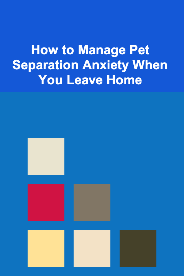 How to Manage Pet Separation Anxiety When You Leave Home