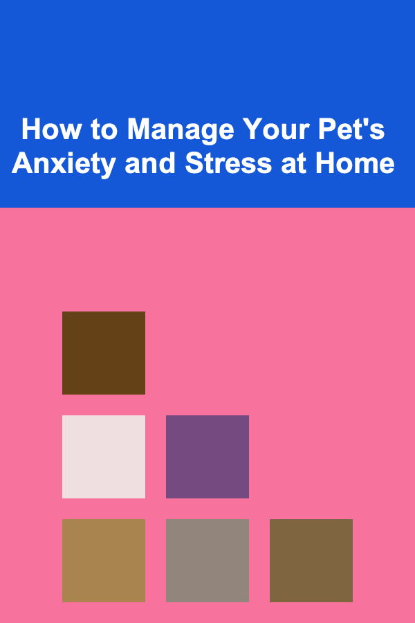 How to Manage Your Pet's Anxiety and Stress at Home