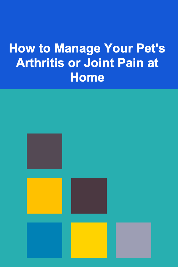 How to Manage Your Pet's Arthritis or Joint Pain at Home