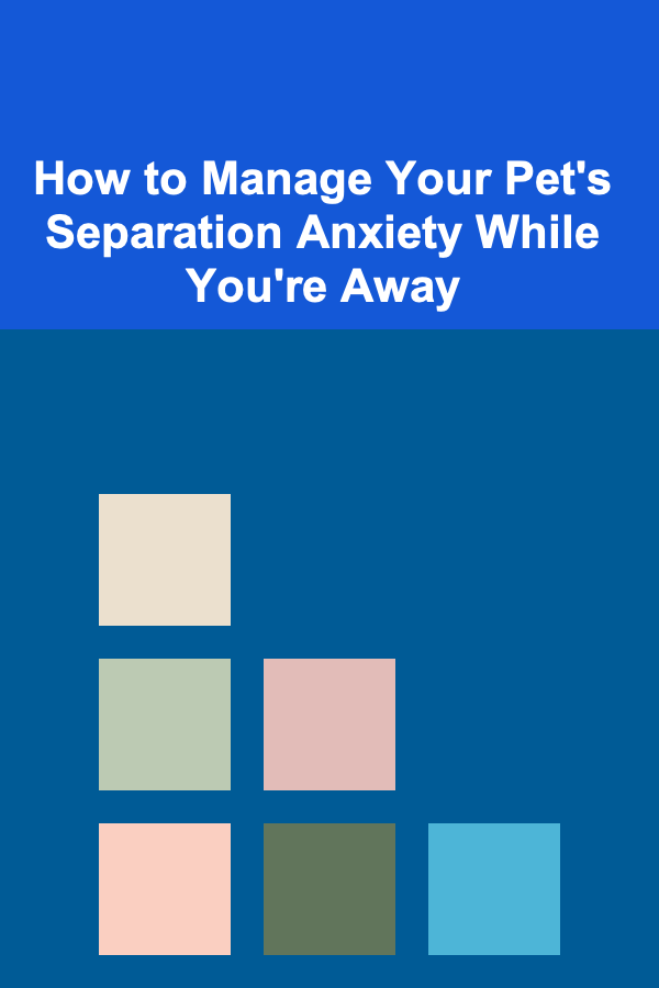 How to Manage Your Pet's Separation Anxiety While You're Away