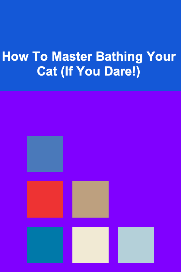 How To Master Bathing Your Cat (If You Dare!)