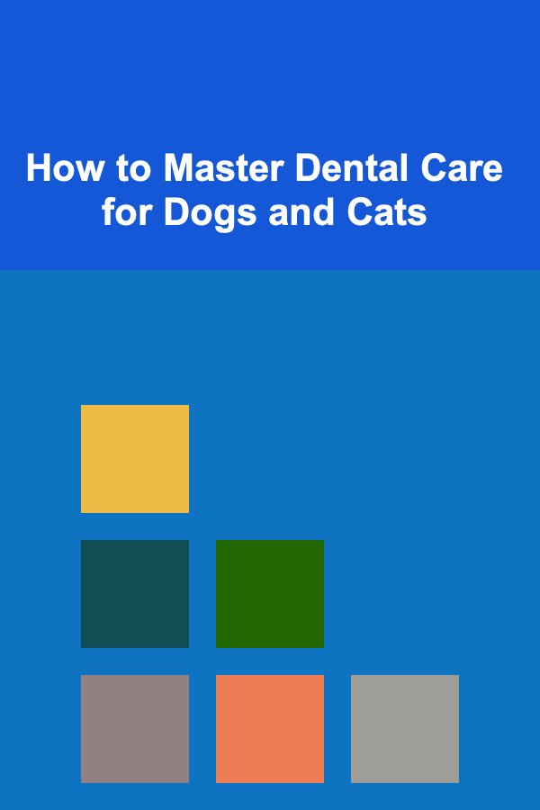 How to Master Dental Care for Dogs and Cats