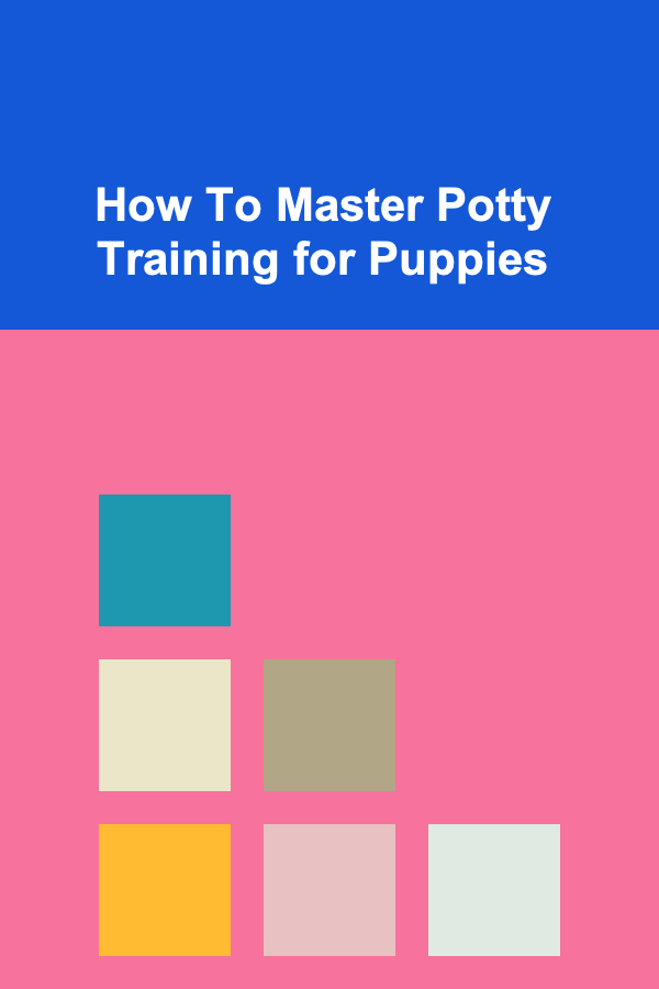 How To Master Potty Training for Puppies