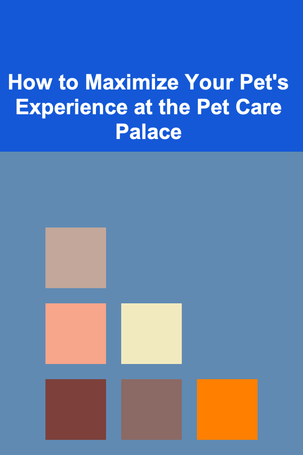 How to Maximize Your Pet's Experience at the Pet Care Palace