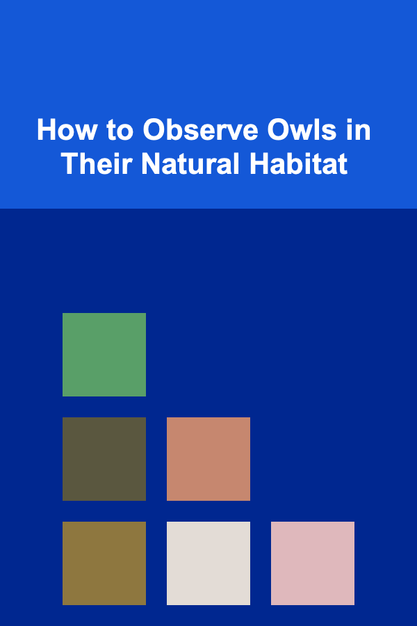 How to Observe Owls in Their Natural Habitat