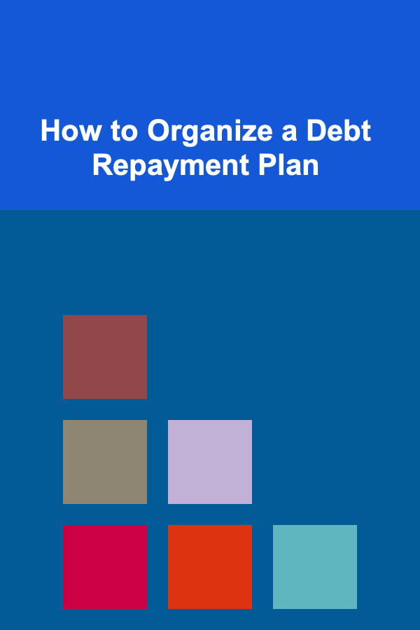 How to Organize a Debt Repayment Plan