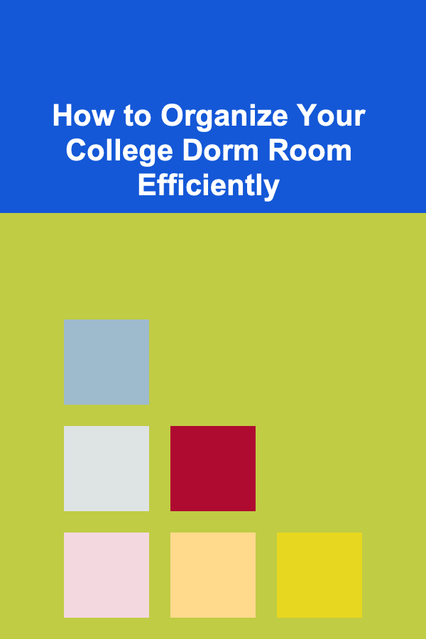 How to Organize Your College Dorm Room Efficiently