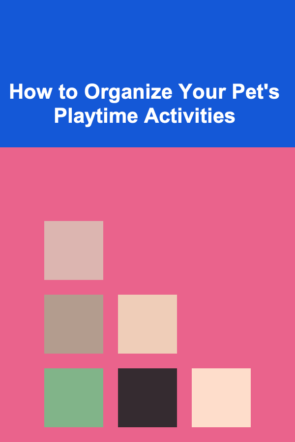 How to Organize Your Pet's Playtime Activities