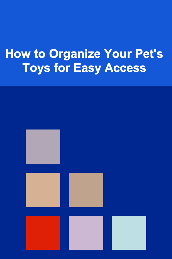 How to Organize Your Pet's Toys for Easy Access