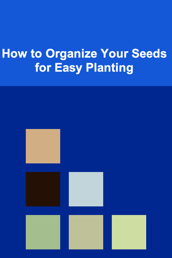 How to Organize Your Seeds for Easy Planting