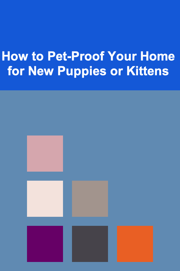 How to Pet-Proof Your Home for New Puppies or Kittens