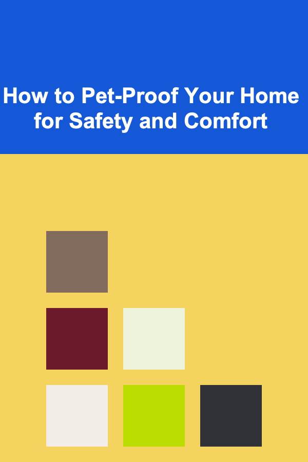 How to Pet-Proof Your Home for Safety and Comfort