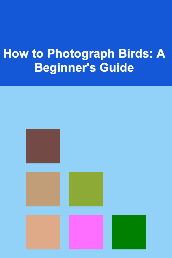 How to Photograph Birds: A Beginner's Guide