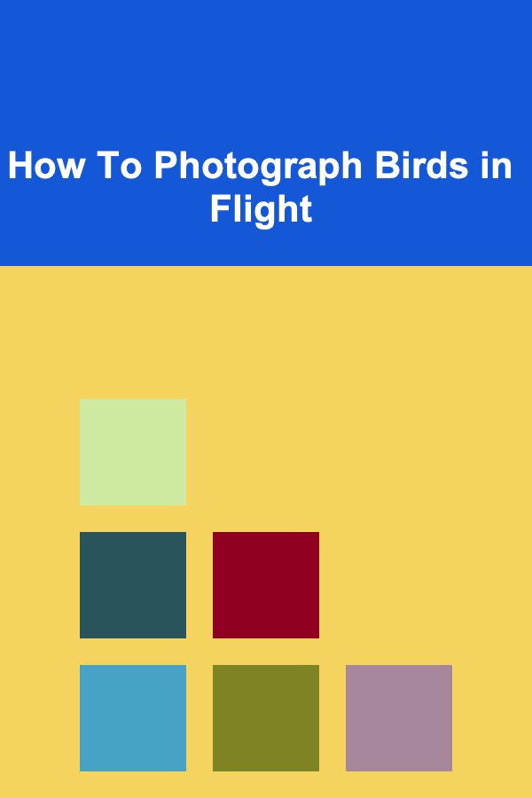 How To Photograph Birds in Flight