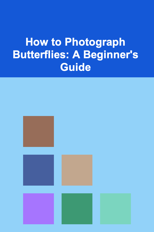 How to Photograph Butterflies: A Beginner's Guide